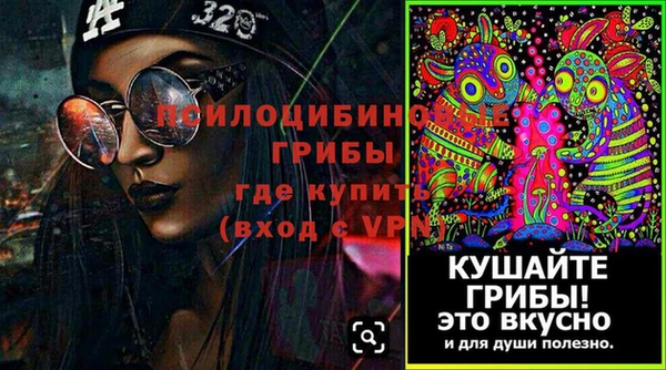 амф Алзамай
